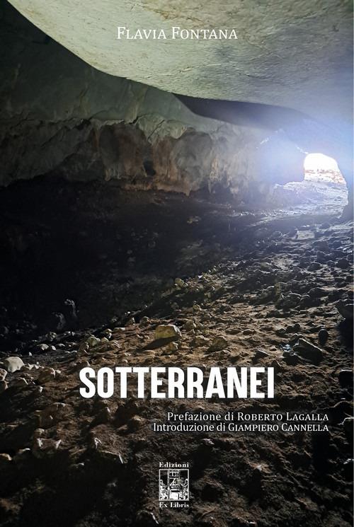 Sotterranei - Flavia Fontana - copertina