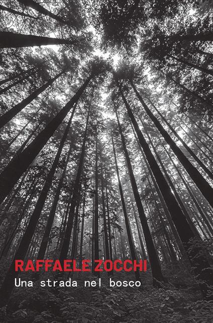 Una strada nel bosco - Raffaele Zocchi - copertina