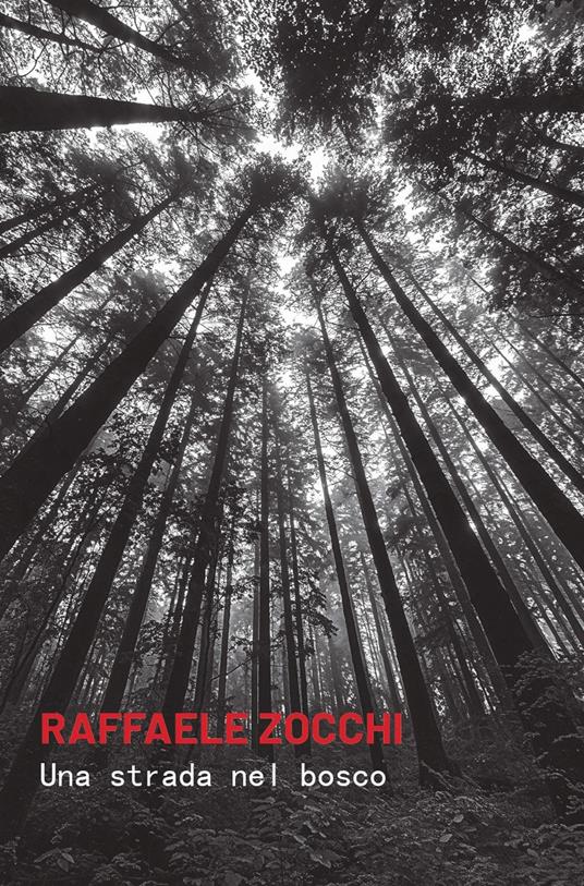 Una strada nel bosco - Raffaele Zocchi - copertina