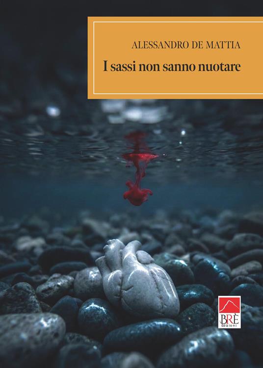I sassi non sanno nuotare - Alessandro De Mattia - copertina