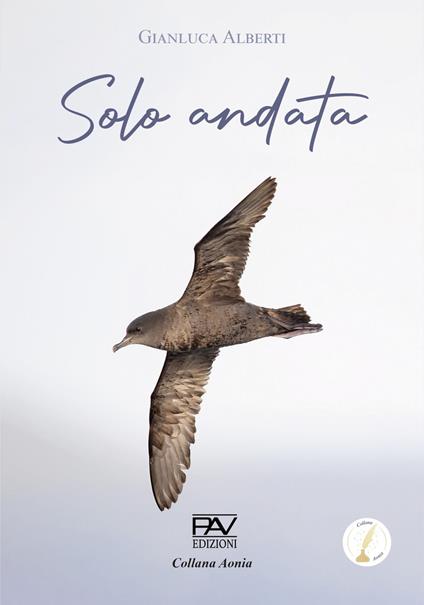 Solo andata - Gianluca Alberti - copertina