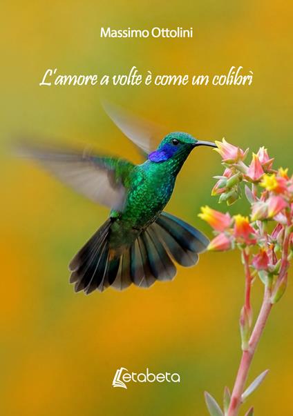 L'amore a volte è come un colibrì - Massimo Ottolini - copertina