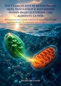 Libro Dai cloroplasti ai mitocondri, quel fantastico e misterioso flusso degli elettroni che alimenta la vita. Riflessioni sui meccanismi evolutivi che hanno dato vita agli organismi viventi e li trascinano verso un ignoto destino Bruno Riccardi