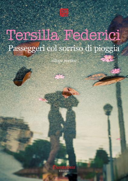 Passeggeri col sorriso di pioggia - Tersilla Federici - copertina