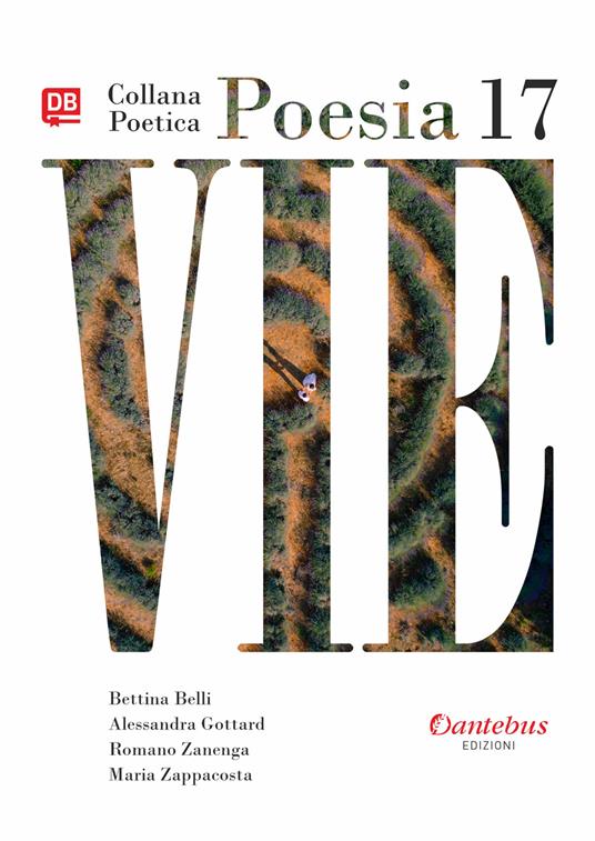 Vie. Collana poetica. Nuova ediz.. Vol. 17 - Bettina Belli,Alessandra Gottard,Romano Zanenga - copertina