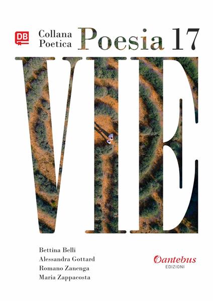 Vie. Collana poetica. Vol. 17 - Bettina Belli,Alessandra Gottard,Romano Zanenga,Maria Zappacosta - ebook