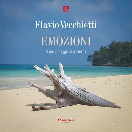 Emozioni. Diario di viaggio di un'anima. Ediz. illustrata - Flavio Vecchietti - copertina
