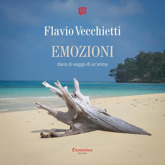 Emozioni. Diario di viaggio di un'anima. Ediz. illustrata - Flavio Vecchietti - copertina