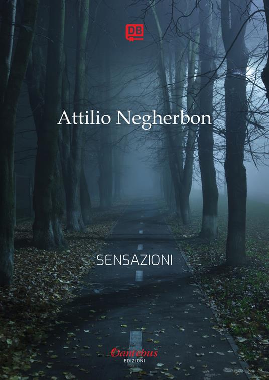Sensazioni - Attilio Negherbon - copertina