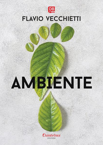 Ambiente - Flavio Vecchietti - copertina