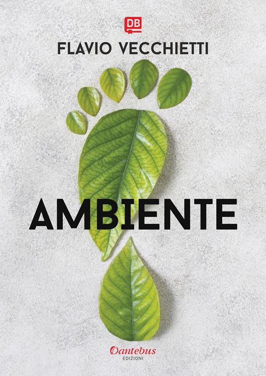 Ambiente - Flavio Vecchietti - ebook