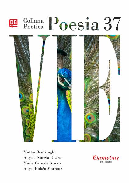 Vie. Collana poetica. Vol. 37 - Mattia Bentivogli,Angela Nunzia D'Urso,Maria Carmen Grieco - copertina