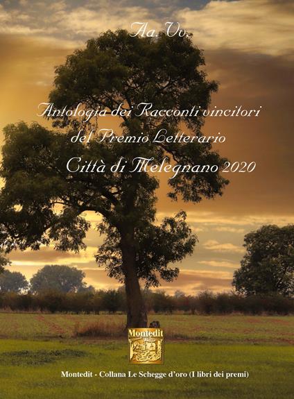 Antologia dei racconti vincitori del Premio Letterario Città di Melegnano 2020 - copertina