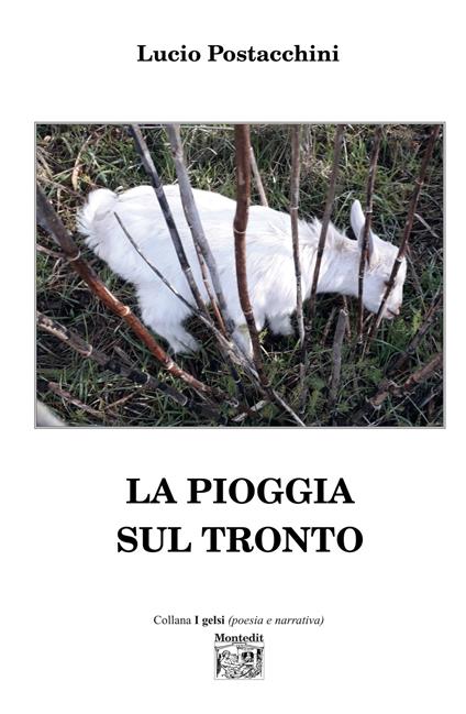 La pioggia sul Tronto - Lucio Postacchini - ebook