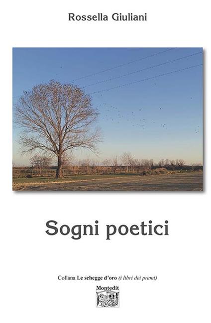 Sogni poetici - Rossella Giuliani - copertina