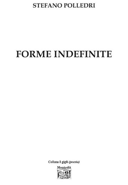 Forme indefinite - Stefano Polledri - copertina