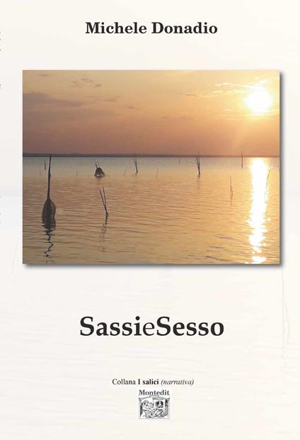 SassieSesso - Michele Donadio - copertina