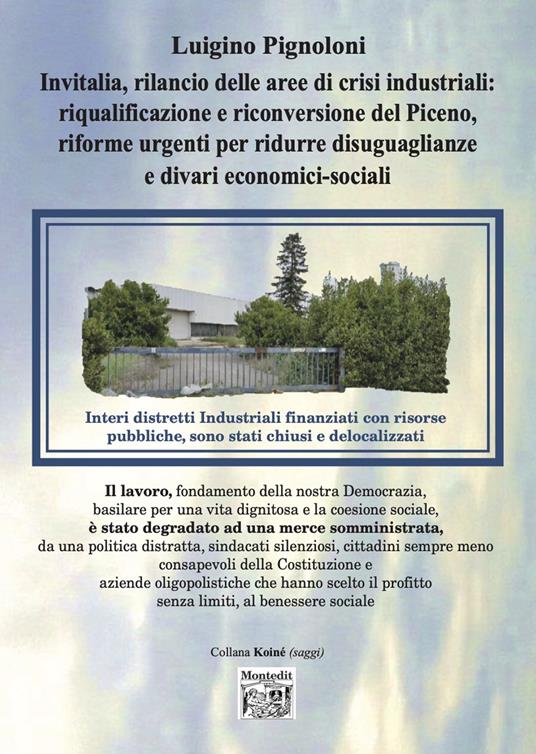 Invitalia, rilancio delle aree di crisi industriali: riqualificazione e riconversione del Piceno, riforme urgenti per ridurre disuguaglianze e divari economici-sociali - Luigino Pignoloni - copertina