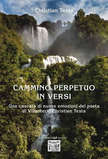 Cammino perpetuo in versi - Christian Testa - copertina