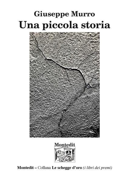 Una piccola storia - Giuseppe Murro - copertina
