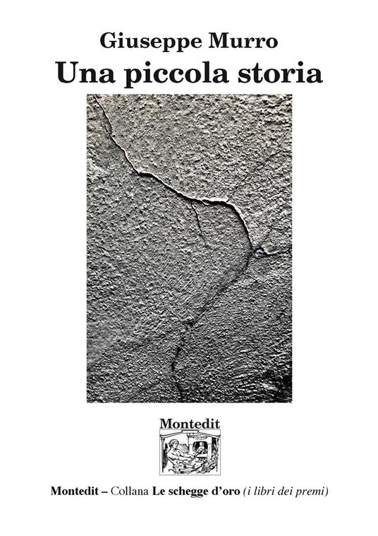 Una piccola storia - Giuseppe Murro - copertina