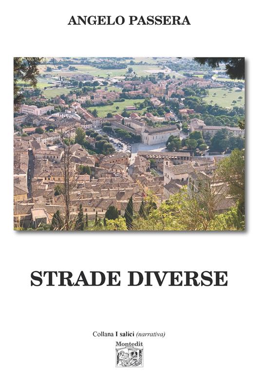 Strade diverse - Angelo Passera - copertina