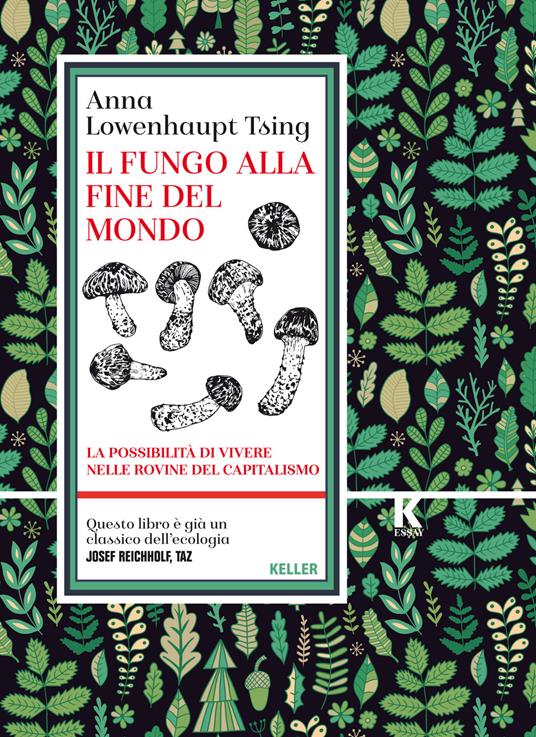 Il fungo alla fine del mondo. La possibilità di vivere nelle rovine del capitalismo - Anna Lowenhaupt Tsing - copertina