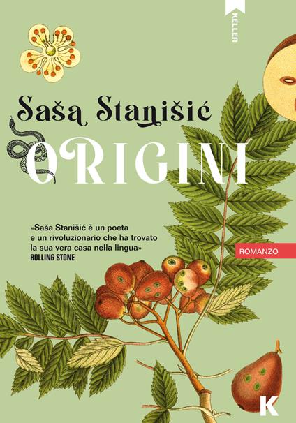 Origini - Sasa Stanisic - copertina