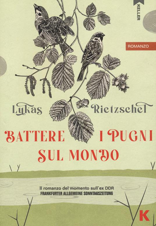 Battere i pugni sul mondo - Lukas Rietzschel - copertina