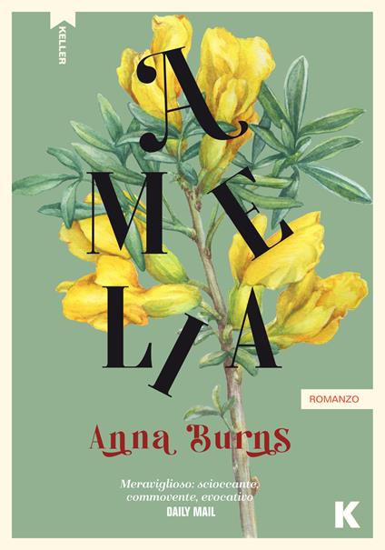 Amelia - Anna Burns - copertina
