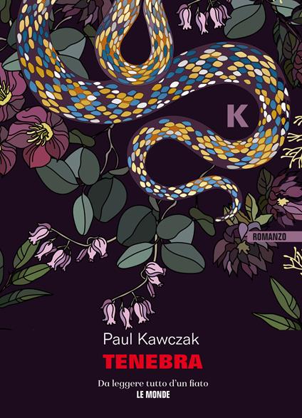Tenebra - Paul Kawczak - copertina