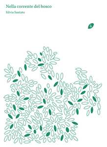 Nella corrente del bosco. Ediz. illustrata
