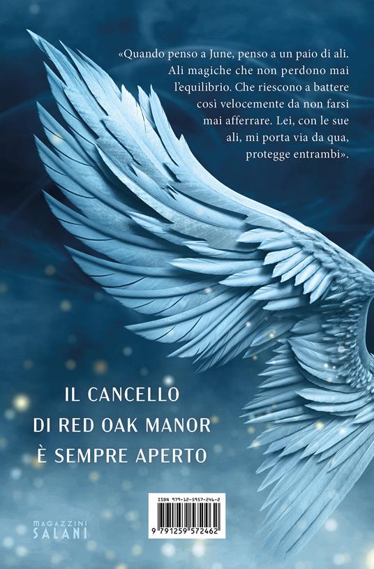 Wings - Valentina Ferraro - Libro - Magazzini Salani 