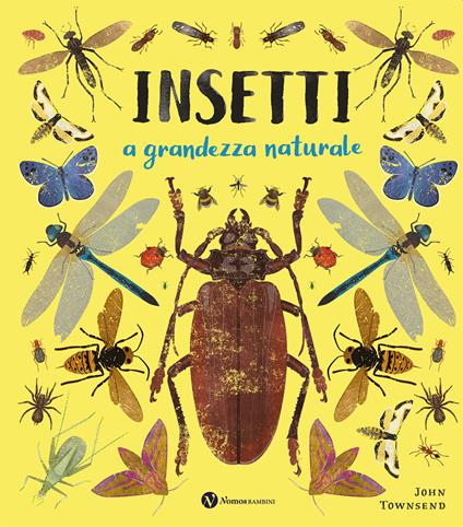 Insetti. A grandezza naturale. Ediz. a colori - John Townsend - copertina