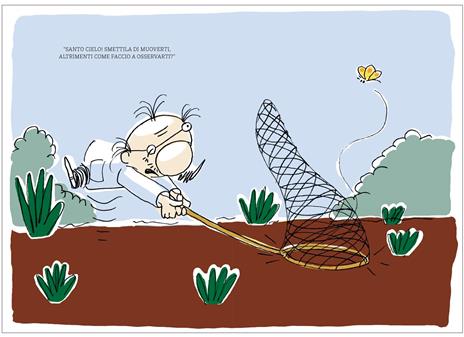 La farfalla. La biblioteca degli animali di Tatsu Nagata. Ediz. a colori - Tatsu Nagata - 2