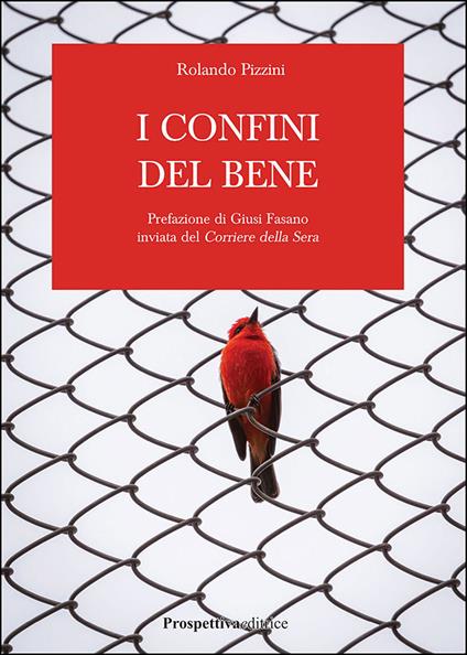 I confini del bene - Rolando Pizzini - copertina