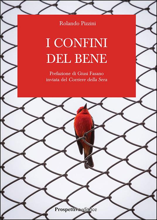 I confini del bene - Rolando Pizzini - copertina