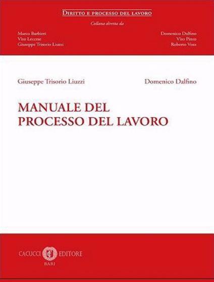 Manuale del processo del lavoro - Giuseppe Trisorio Liuzzi,Domenico Dalfino - copertina