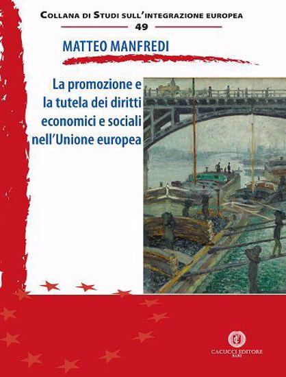 La promozione e la tutela dei diritti economici e sociali nell’Unione europea - Matteo Manfredi - copertina