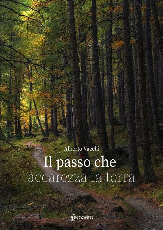 Il passo che accarezza la terra - Alberto Vacchi - copertina
