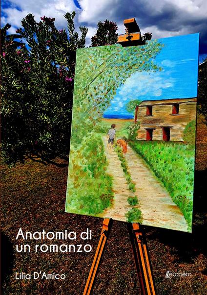 Anatomia di un romanzo - Lilia D'Amico - copertina