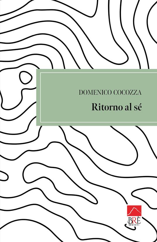 Ritorno al sé - Domenico Cocozza - copertina