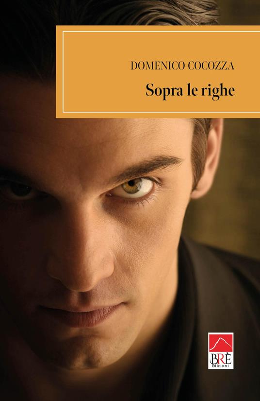 Sopra le righe - Domenico Cocozza - copertina
