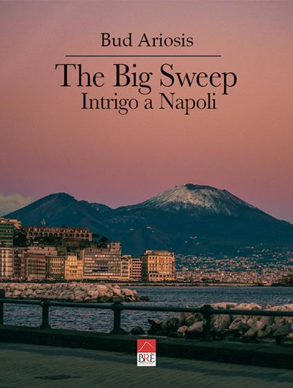 The big sweep. Intrigo a Napoli - Bud Ariosis - copertina