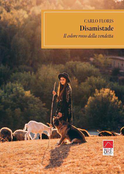 Disamistade - Carlo Floris - copertina