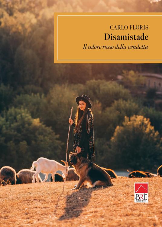 Disamistade - Carlo Floris - copertina