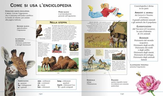 Enciclopedia illustrata degli animali - Paul Cloche,Giorgio Chiozzi,Clementina Coppini - 3