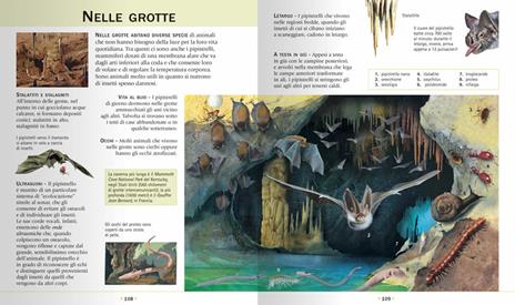 Enciclopedia illustrata degli animali - Paul Cloche,Giorgio Chiozzi,Clementina Coppini - 4