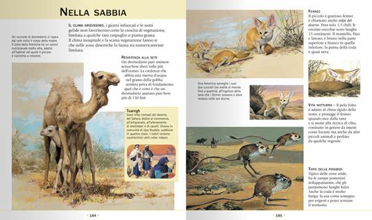 Enciclopedia illustrata degli animali - Paul Cloche,Giorgio Chiozzi,Clementina Coppini - 5