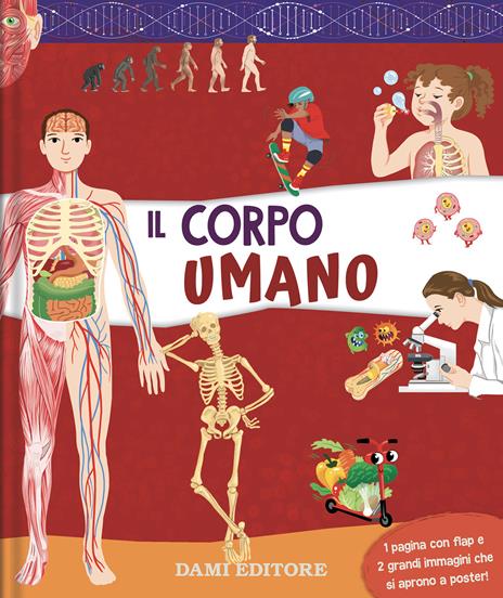 Il corpo umano. Ediz. a colori - copertina